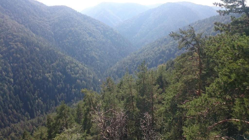 Štúdiá Pohoda Čingov Slovenský raj Spisske Tomasovce Exterior foto