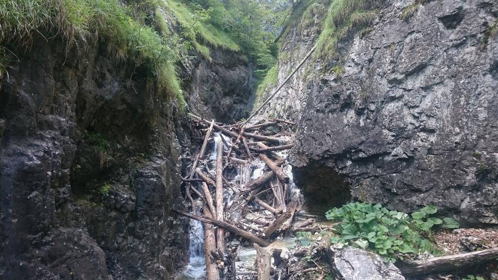 Štúdiá Pohoda Čingov Slovenský raj Spisske Tomasovce Exterior foto