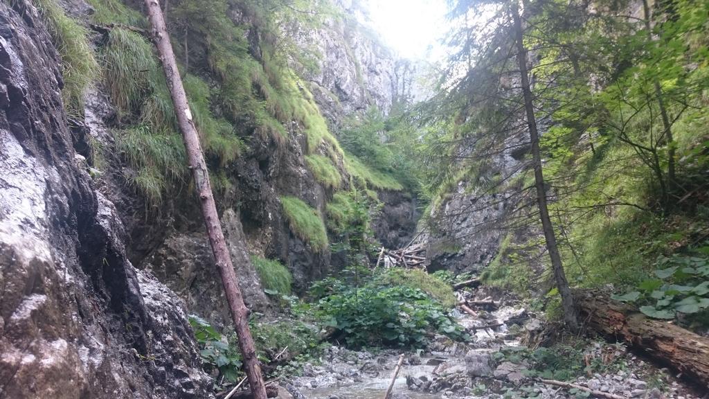 Štúdiá Pohoda Čingov Slovenský raj Spisske Tomasovce Exterior foto